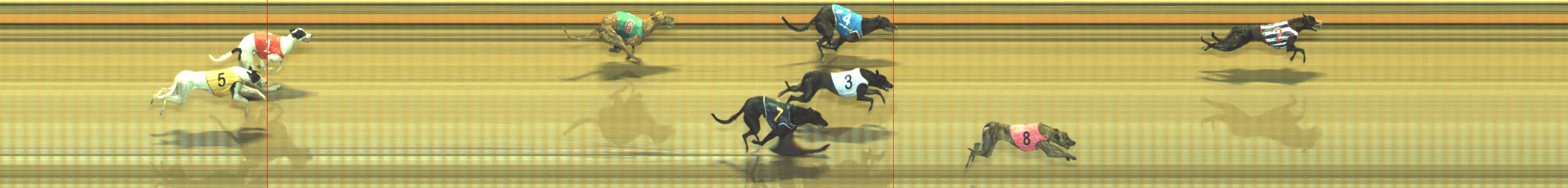 Race result finish photo