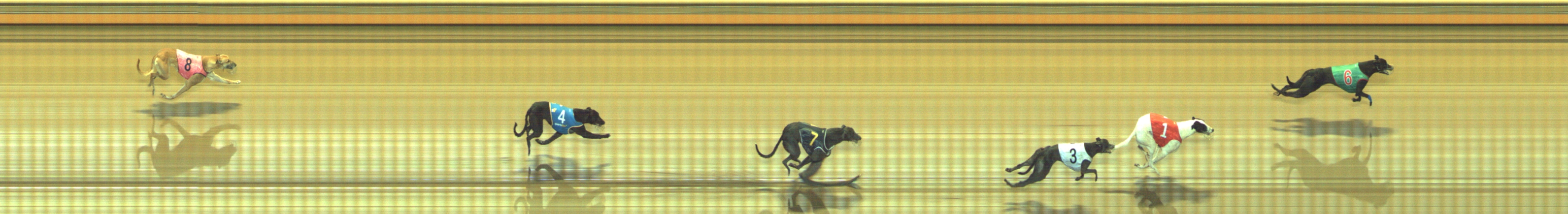 Race result finish photo