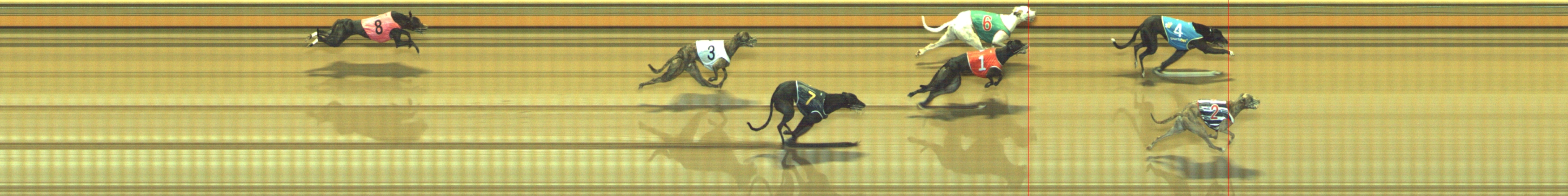 Race result finish photo