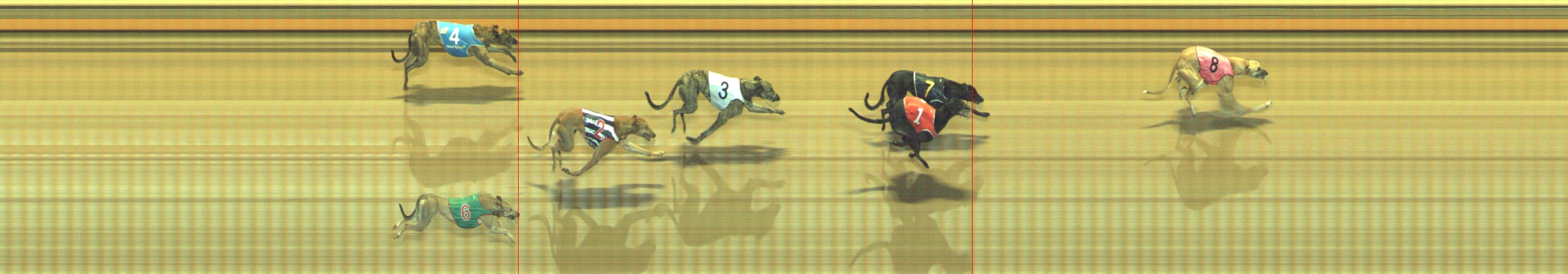 Race result finish photo