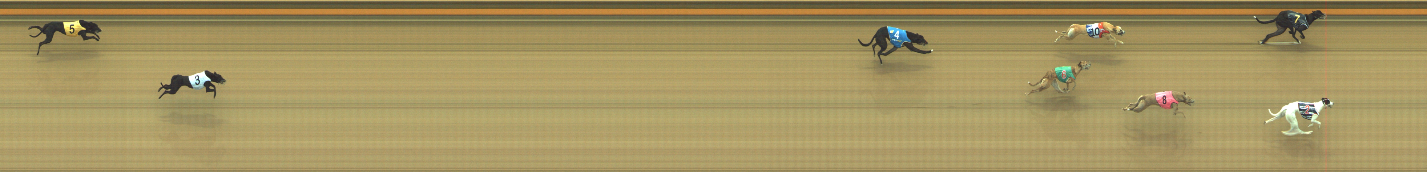 Photo finish for Geelong Race 2