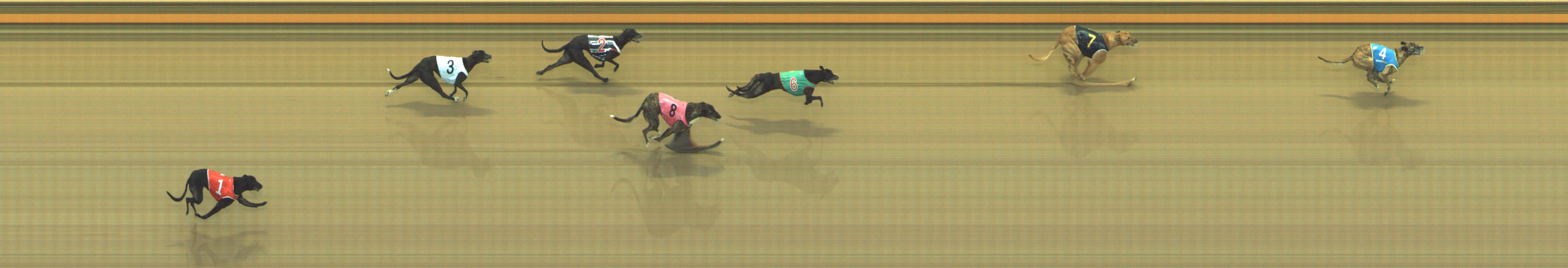 Photo finish for Geelong Race 3