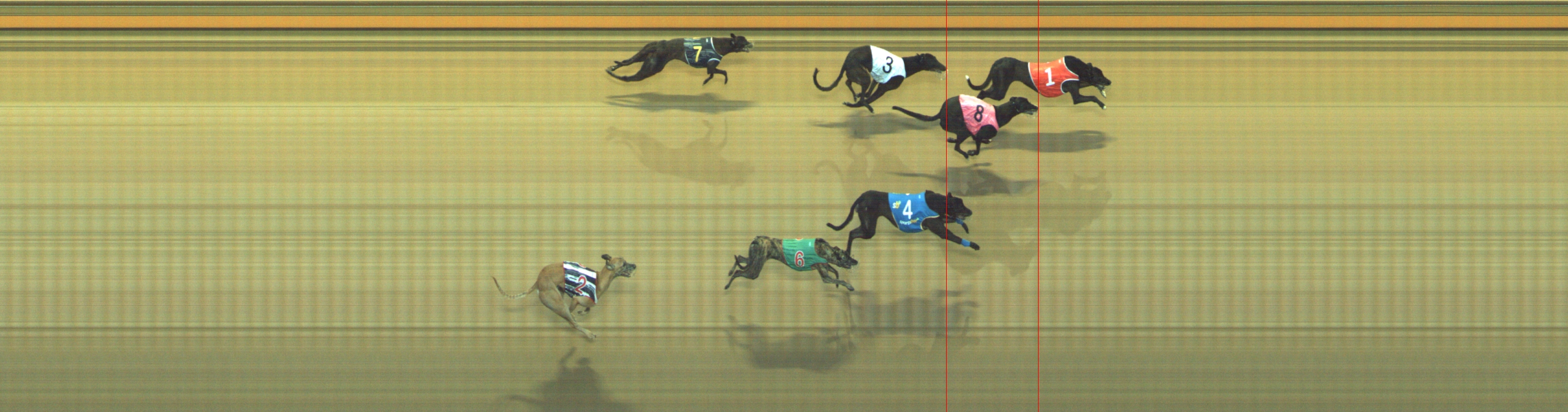 Photo finish for Geelong Race 4