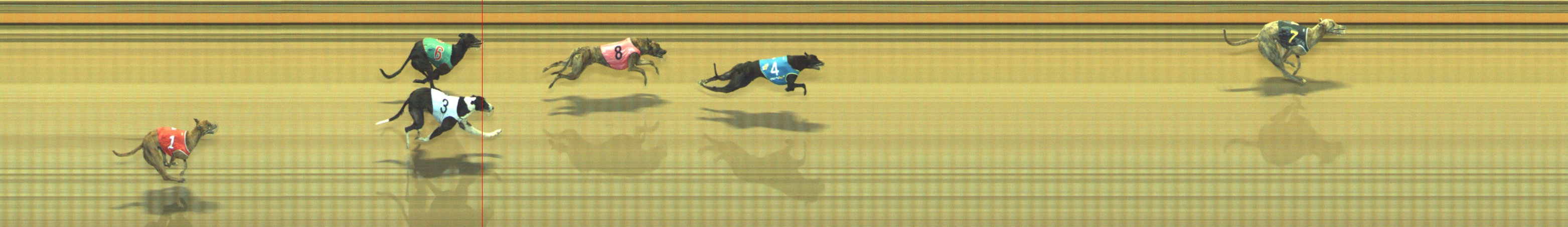 Photo finish for Geelong Race 5