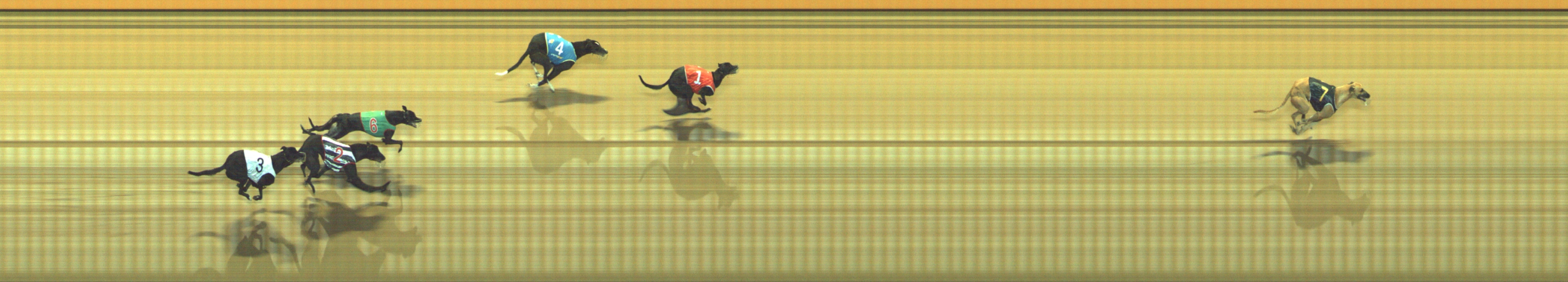 Photo finish for Geelong Race 6