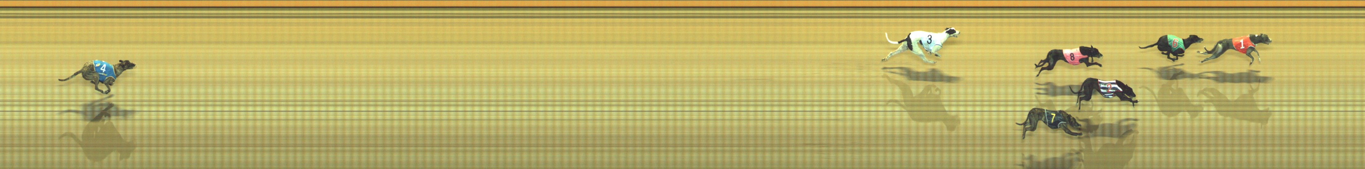 Photo finish for Geelong Race 7