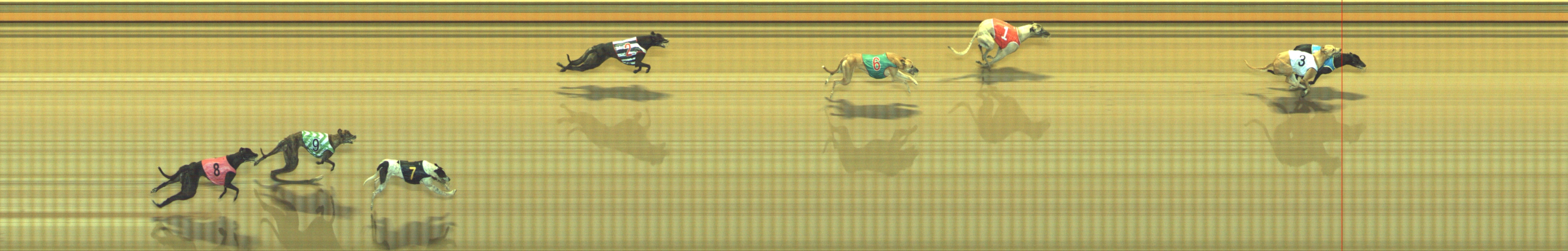 Photo finish for Geelong Race 8