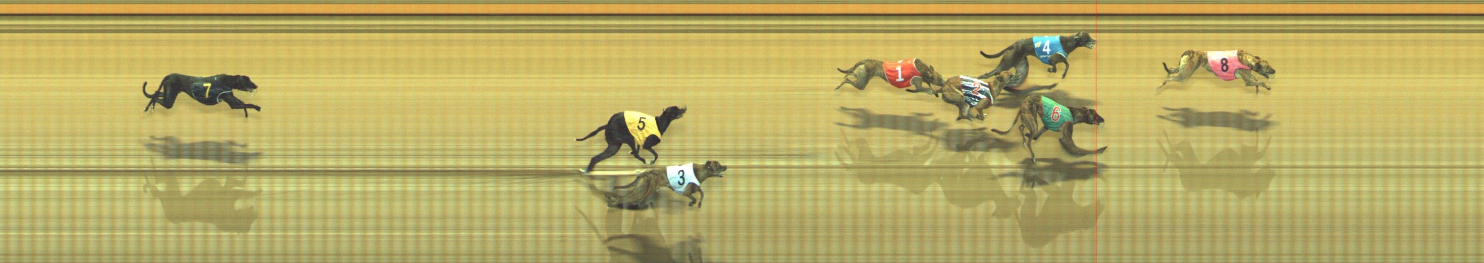 Photo finish for Geelong Race 9