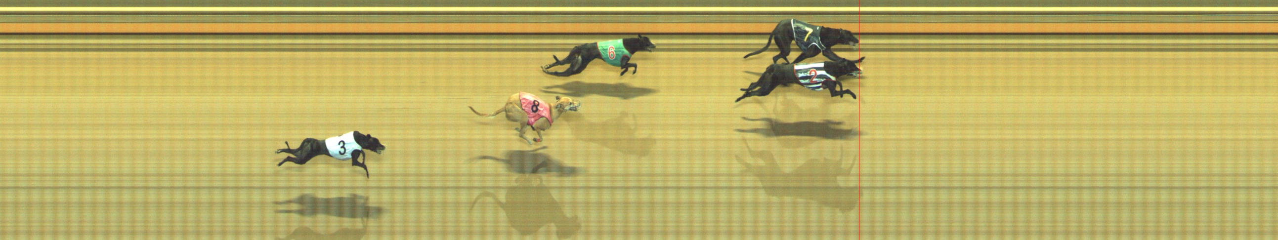 Photo finish for Geelong Race 10