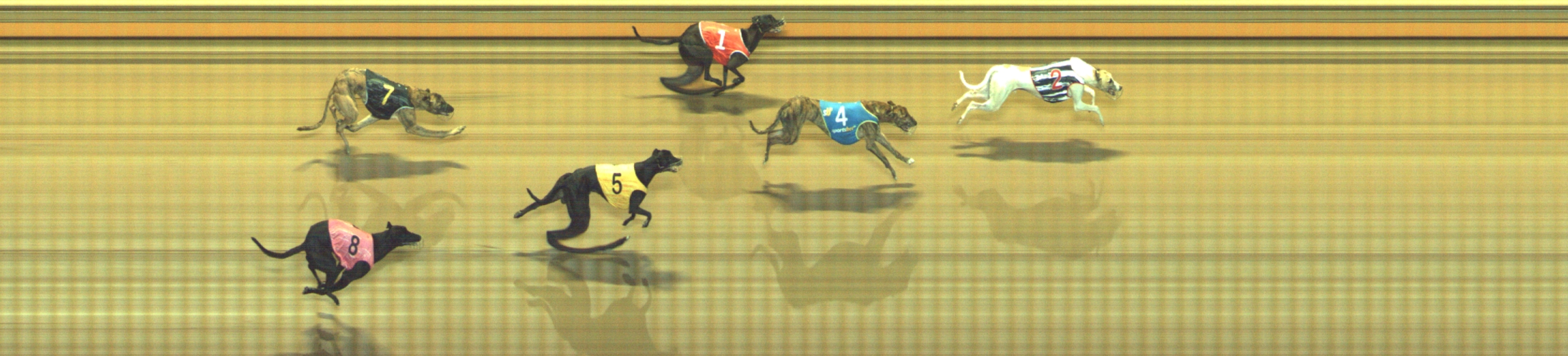 Photo finish for Geelong Race 11
