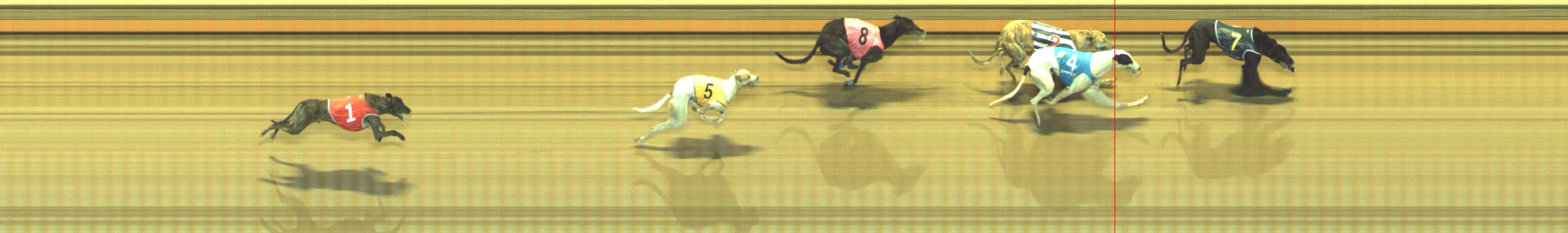 Photo finish for Geelong Race 12