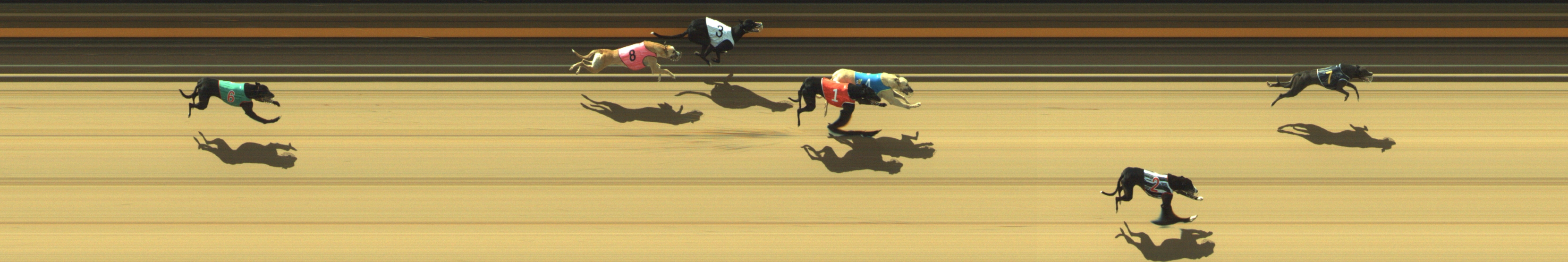 Race result finish photo