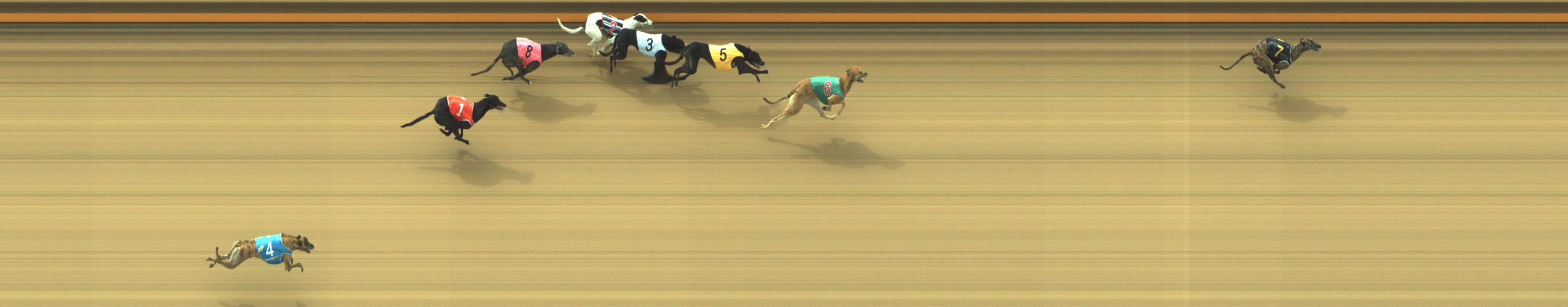 Photo finish for Geelong Race 2