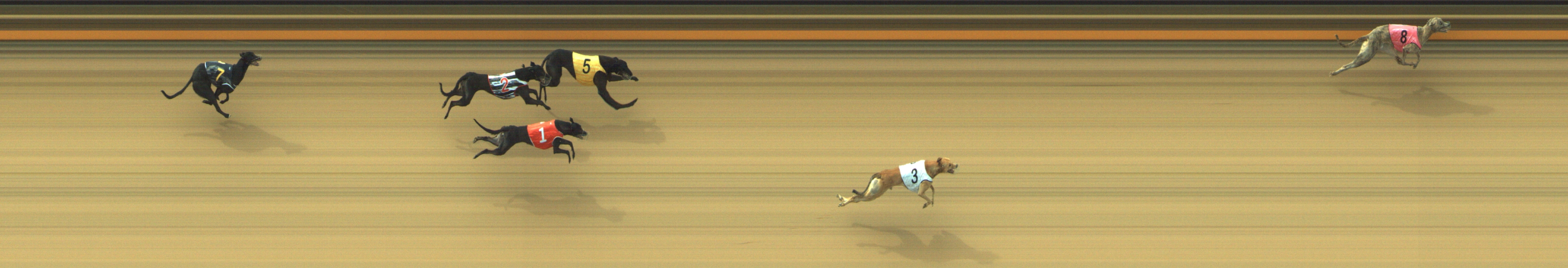 Photo finish for Geelong Race 3
