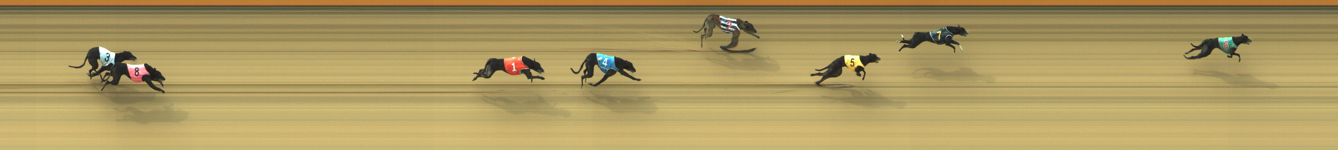 Photo finish for Geelong Race 4