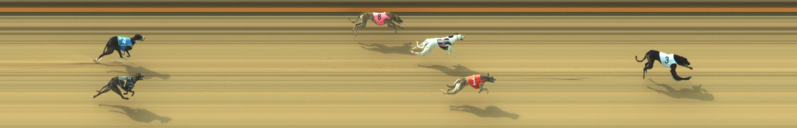 Photo finish for Geelong Race 5
