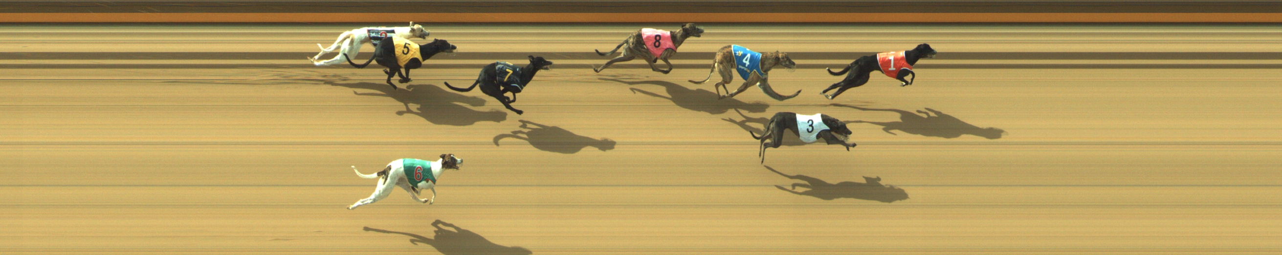 Photo finish for Geelong Race 6