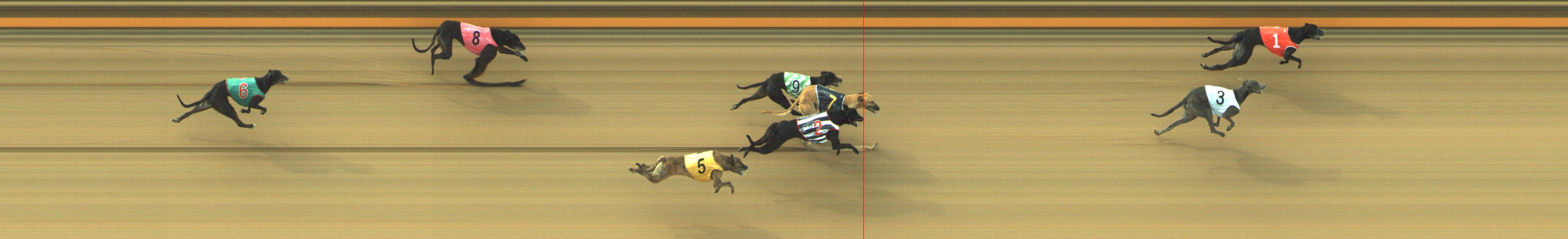Photo finish for Geelong Race 7