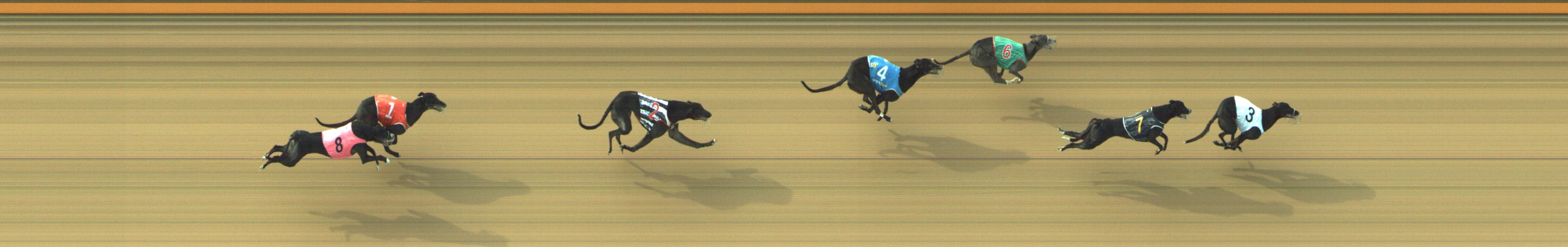 Photo finish for Geelong Race 8
