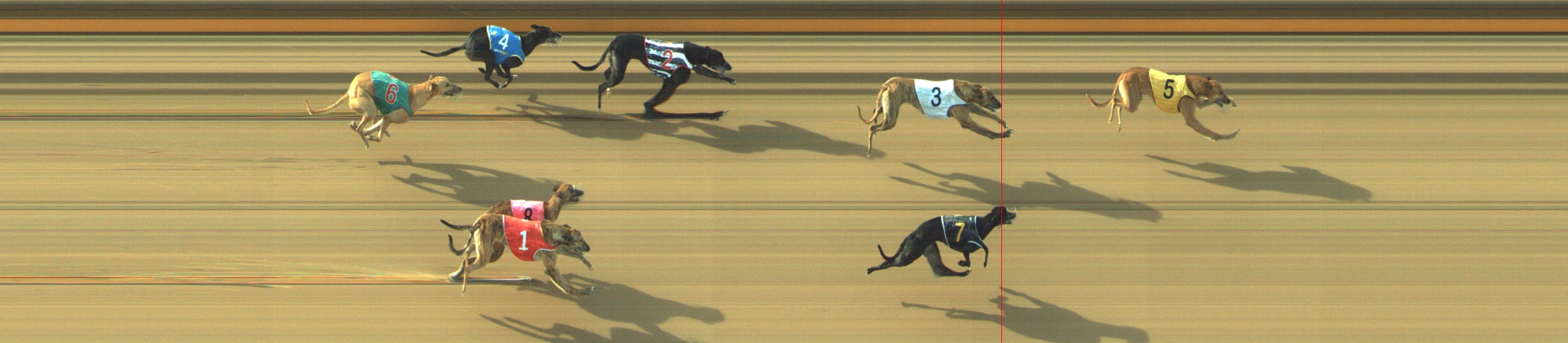 Photo finish for Geelong Race 9