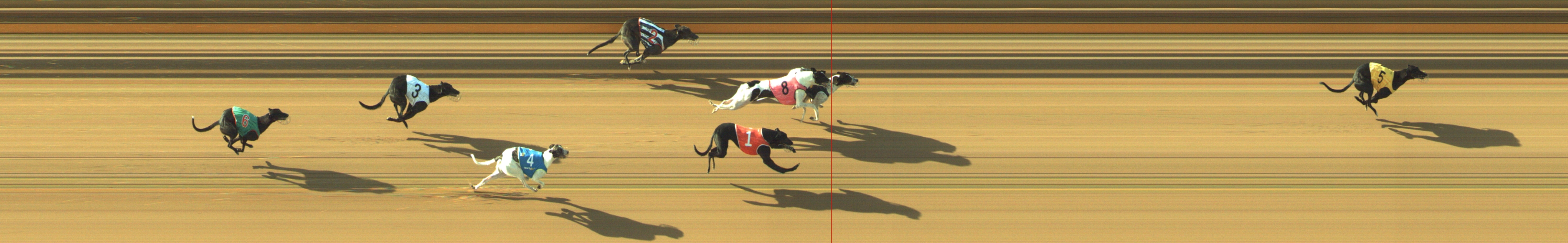 Photo finish for Geelong Race 10