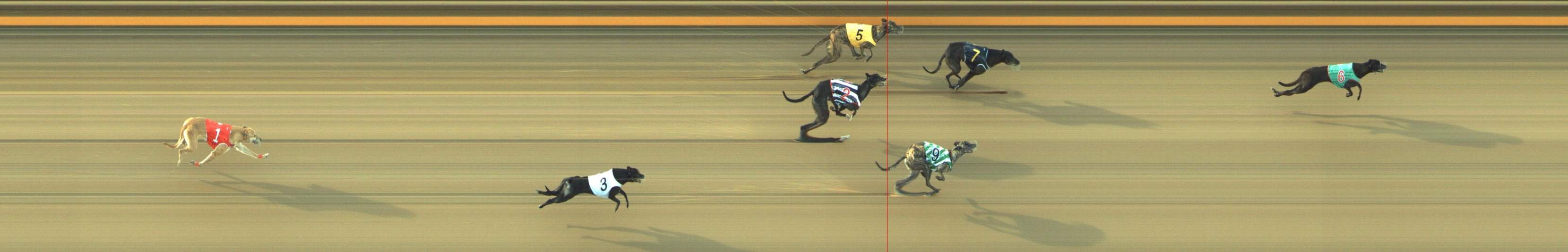 Photo finish for Geelong Race 11