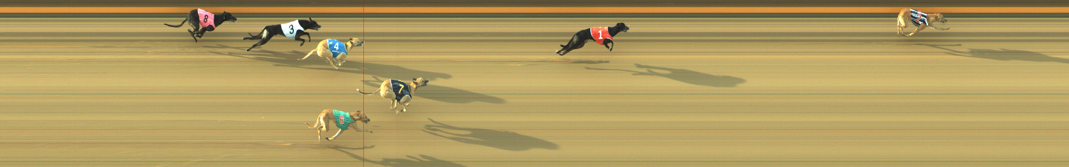 Photo finish for Geelong Race 12