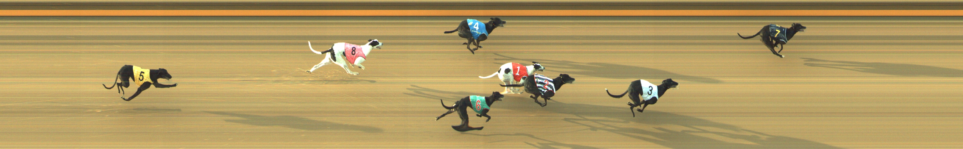 Photo finish for Geelong Race 13