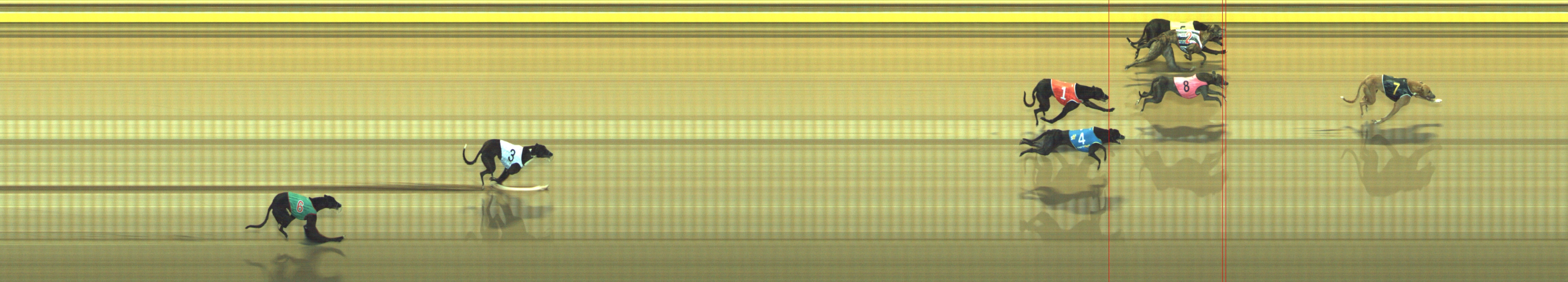 Photo finish for Geelong Race 1