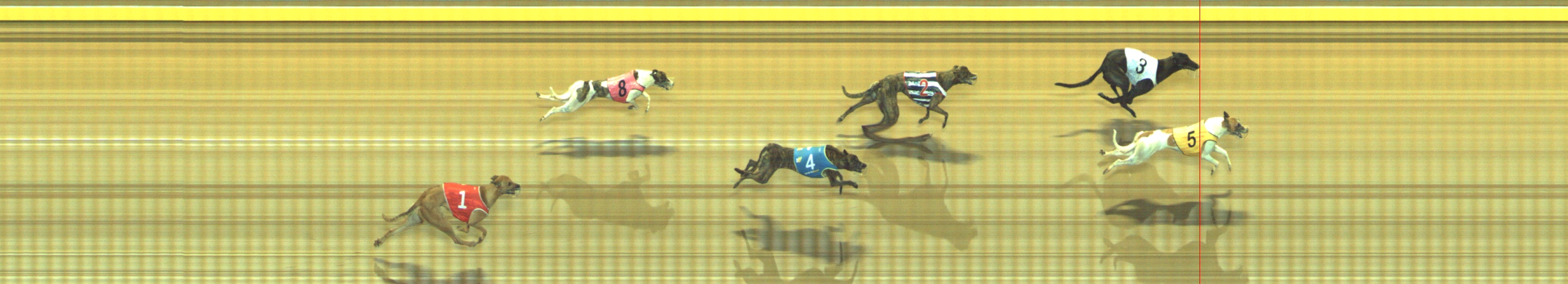 Photo finish for Geelong Race 2