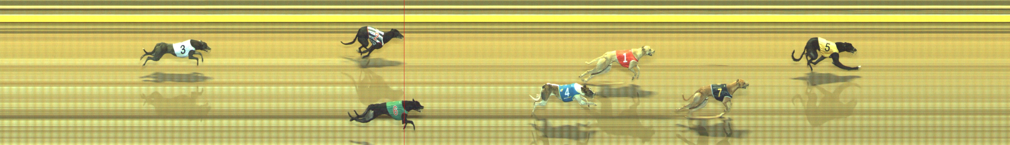 Photo finish for Geelong Race 3