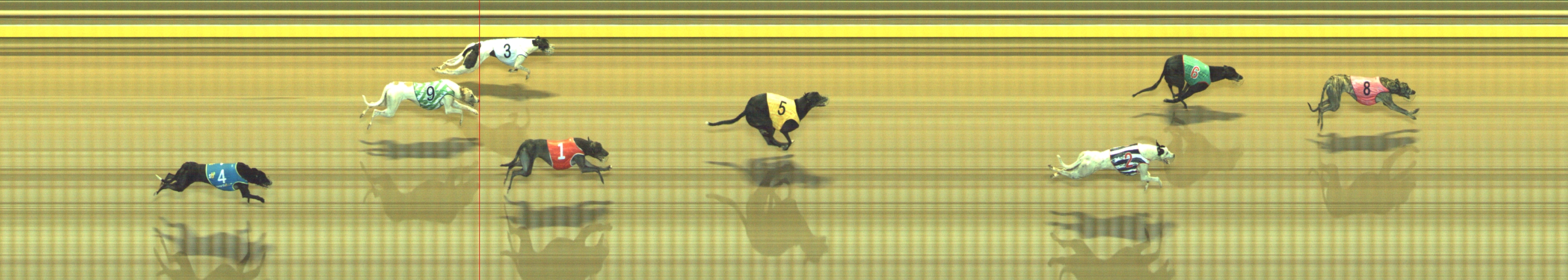 Photo finish for Geelong Race 4