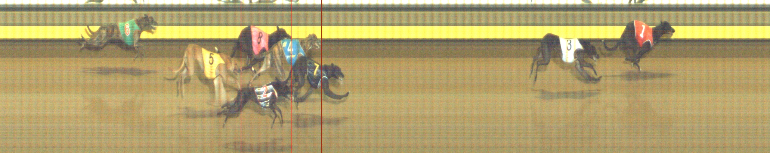 Photo finish for Geelong Race 5
