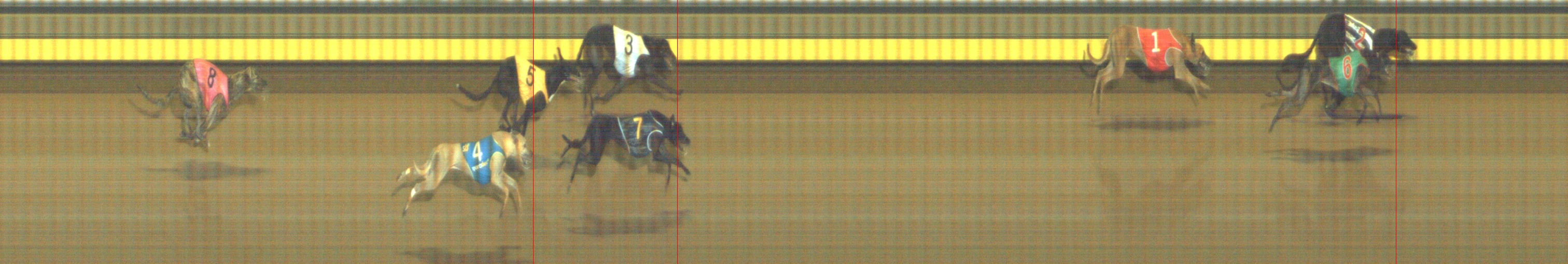 Photo finish for Geelong Race 6