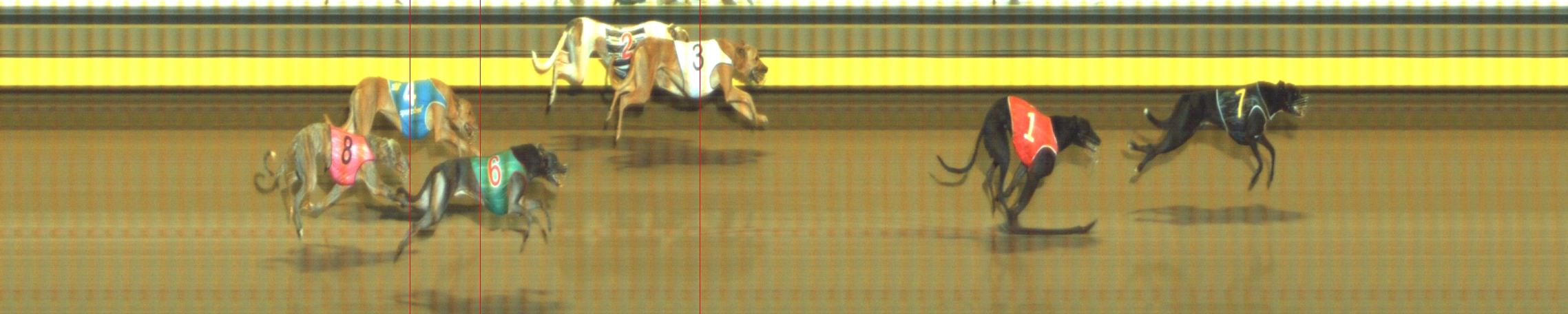 Photo finish for Geelong Race 7