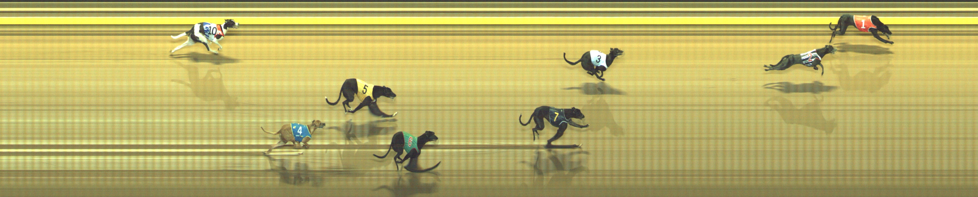 Photo finish for Geelong Race 8