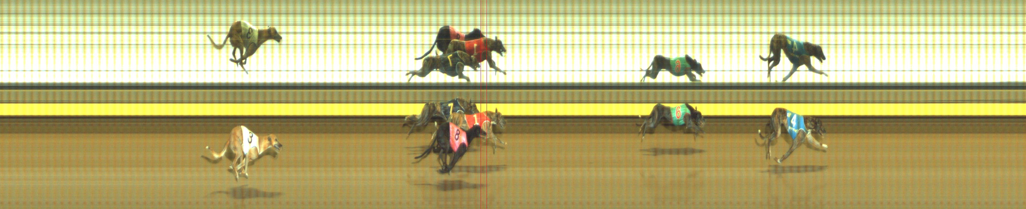 Photo finish for Geelong Race 9