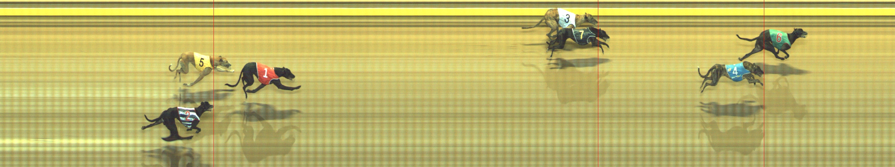 Photo finish for Geelong Race 12