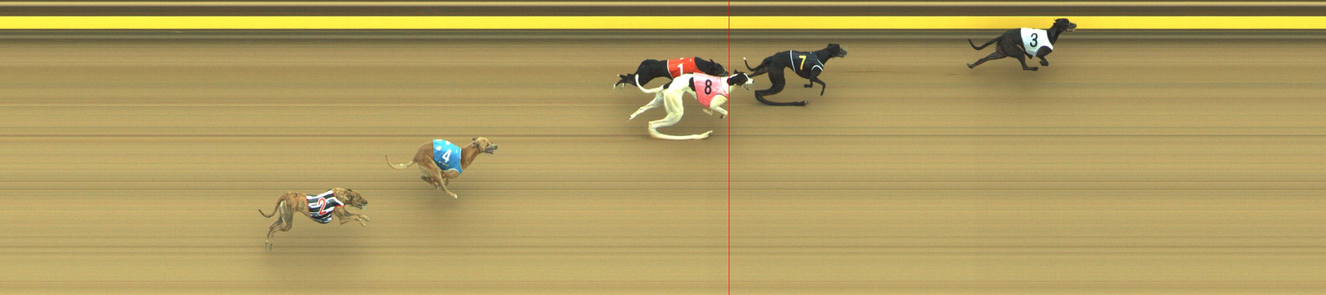 Photo finish for Geelong Race 2