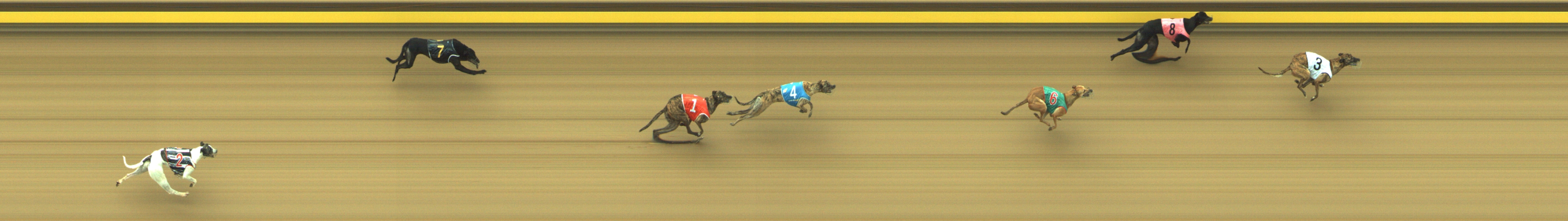 Photo finish for Geelong Race 3