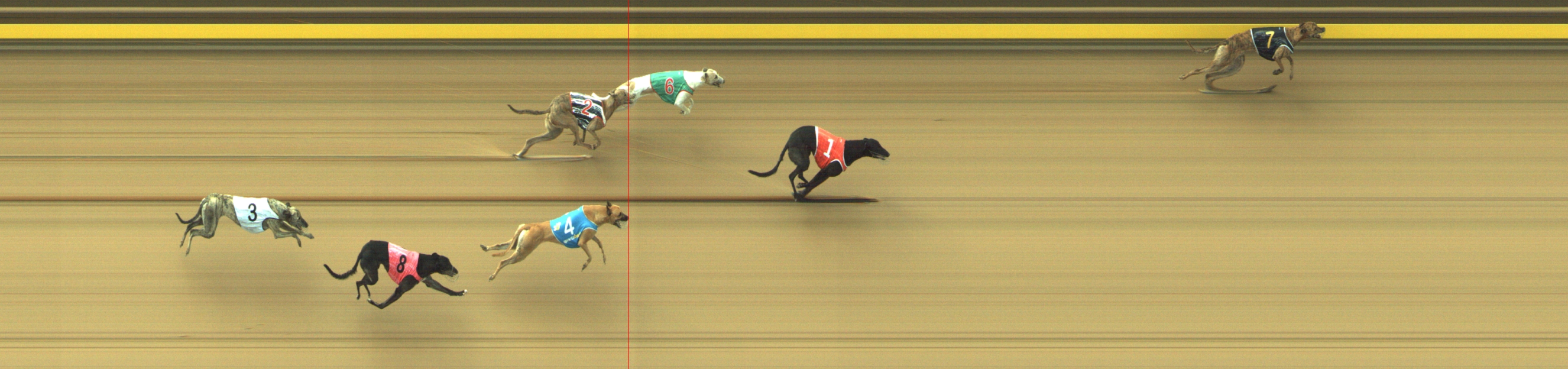 Photo finish for Geelong Race 5