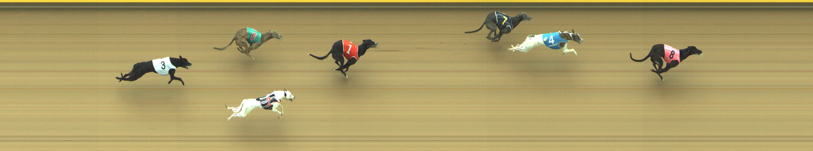 Photo finish for Geelong Race 6