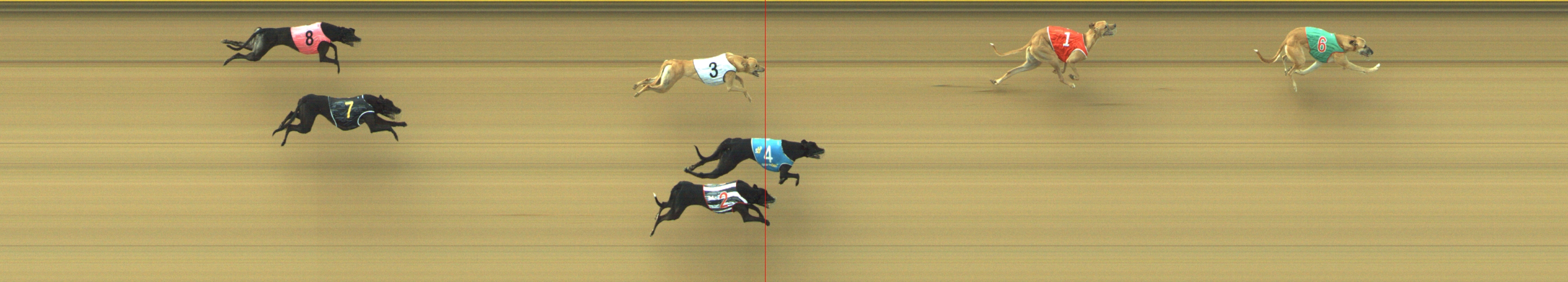 Photo finish for Geelong Race 8