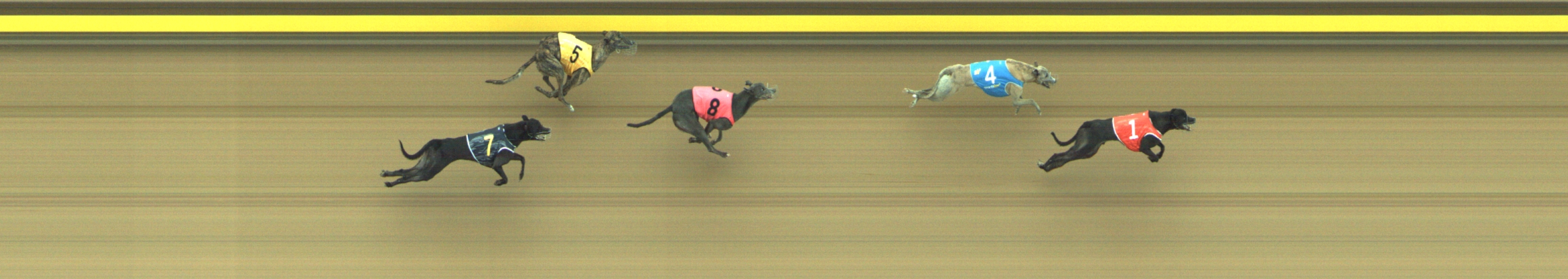 Photo finish for Geelong Race 9
