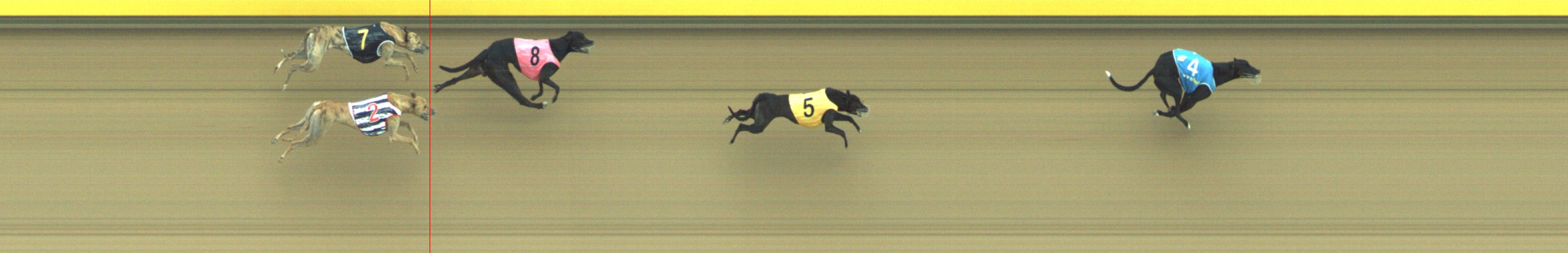 Photo finish for Geelong Race 10