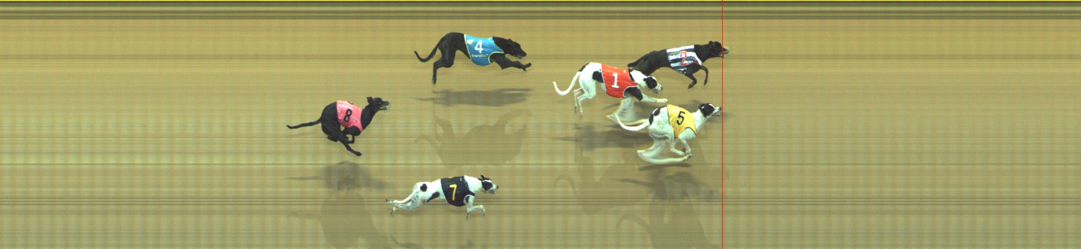 Photo finish for Geelong Race 11