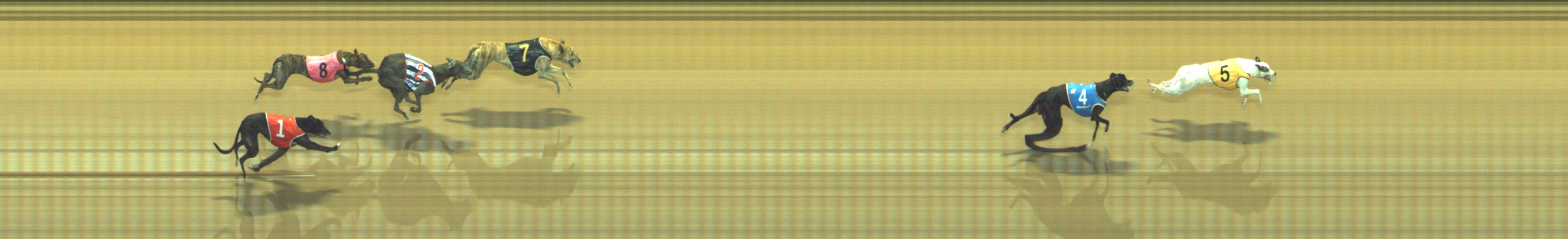 Photo finish for Geelong Race 12