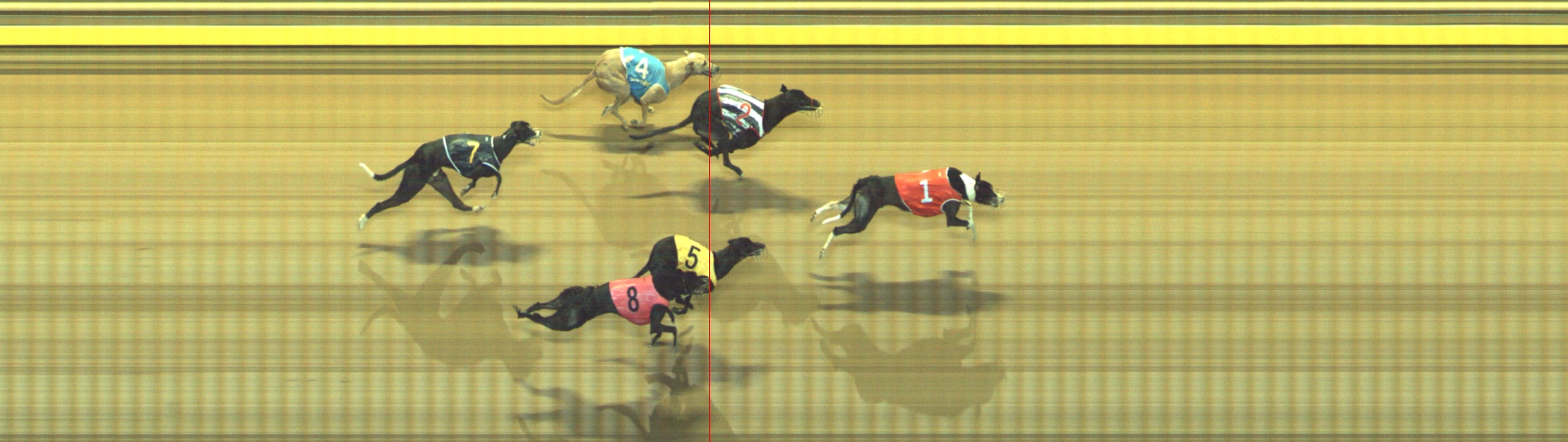 Photo finish for Geelong Race 13