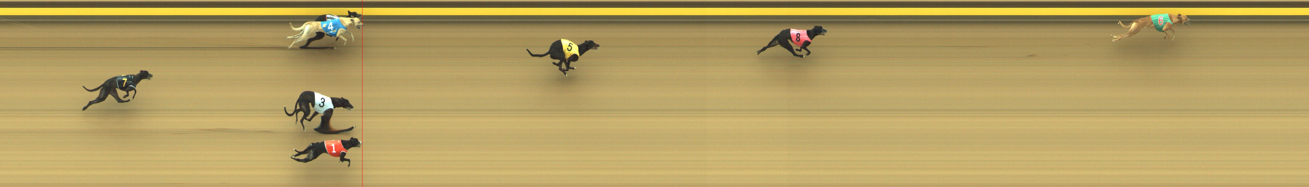 Photo finish for Geelong Race 1