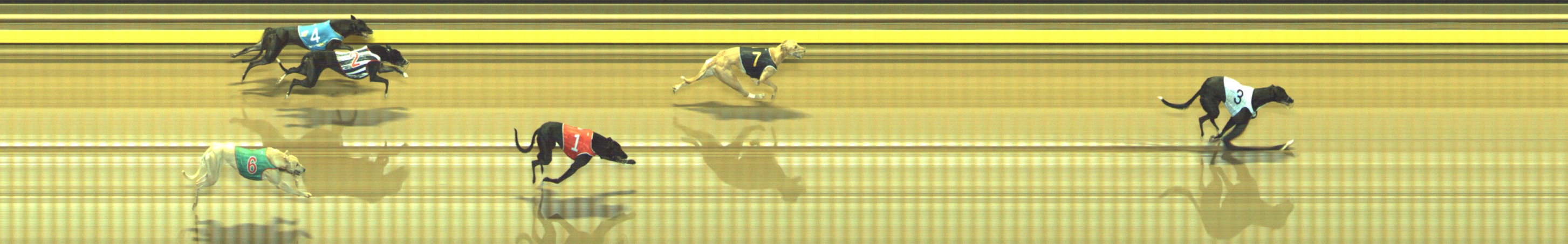 Photo finish for Geelong Race 1